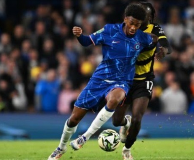 的有力见证 的有力见证