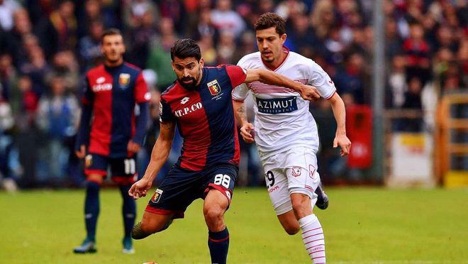 布莱顿球迷 布莱顿球迷