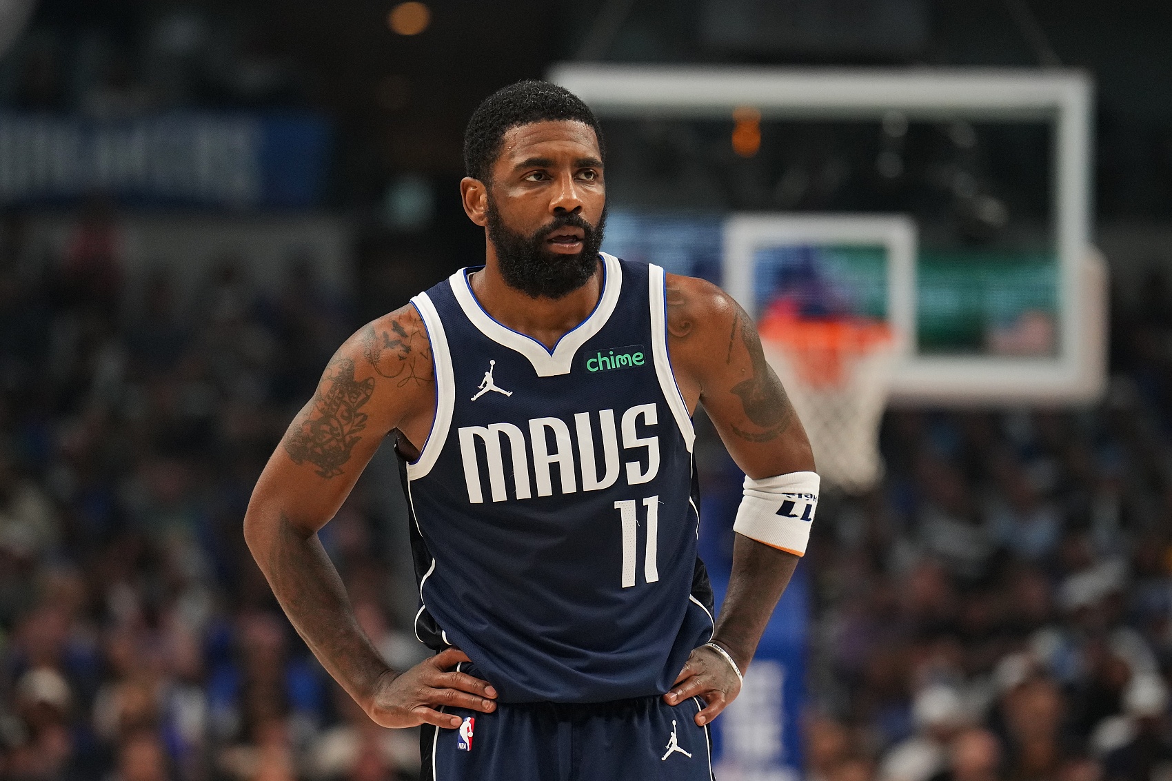 新手入坑 新手入坑